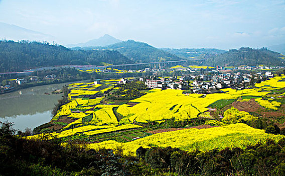 xô so mien nam