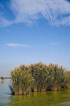 xổ số an giang ba đài