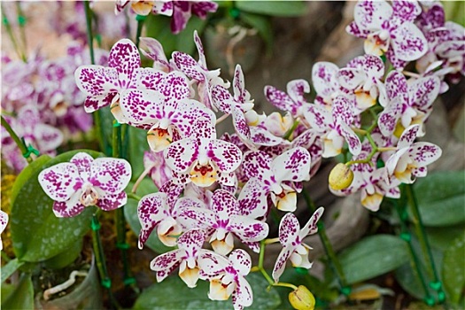 xô số miền nam