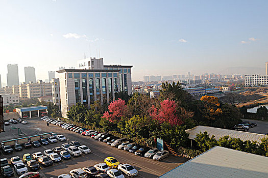 dự đoán miền bắc hôm nay