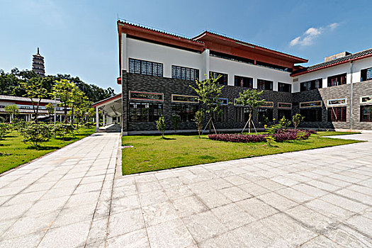 soi cau xien 2 mien phi